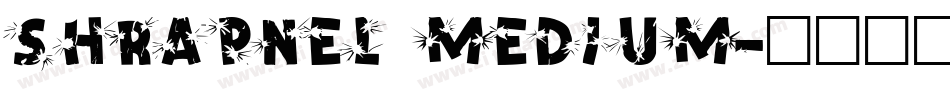 Shrapnel Medium字体转换